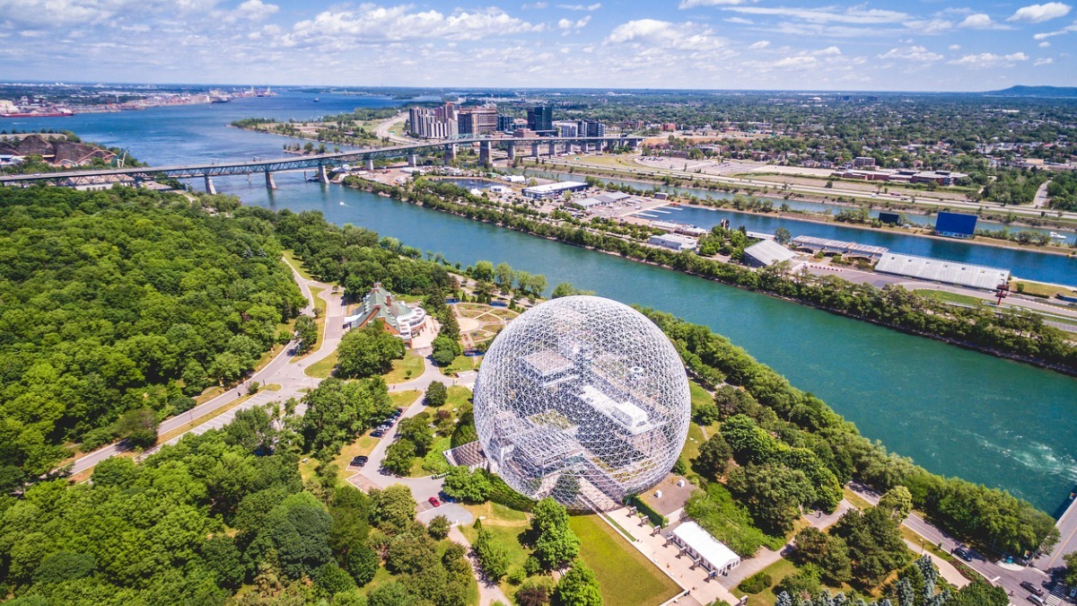 Save the trees: Never-ending construction in cities threatens the urban forest