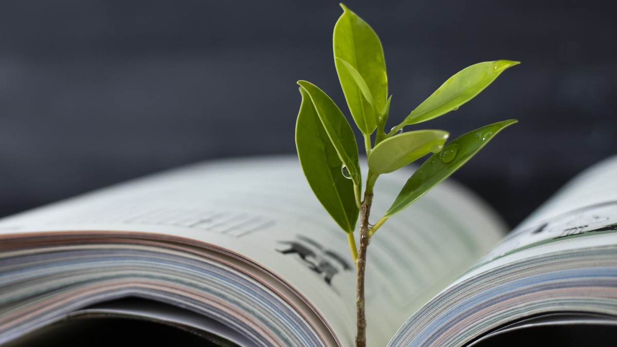 The next wave of environmental, social and corporate governance