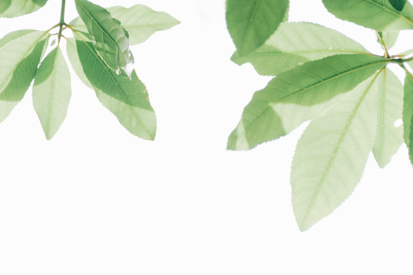 A greener economy: how we make sustainability central to business-July 2020