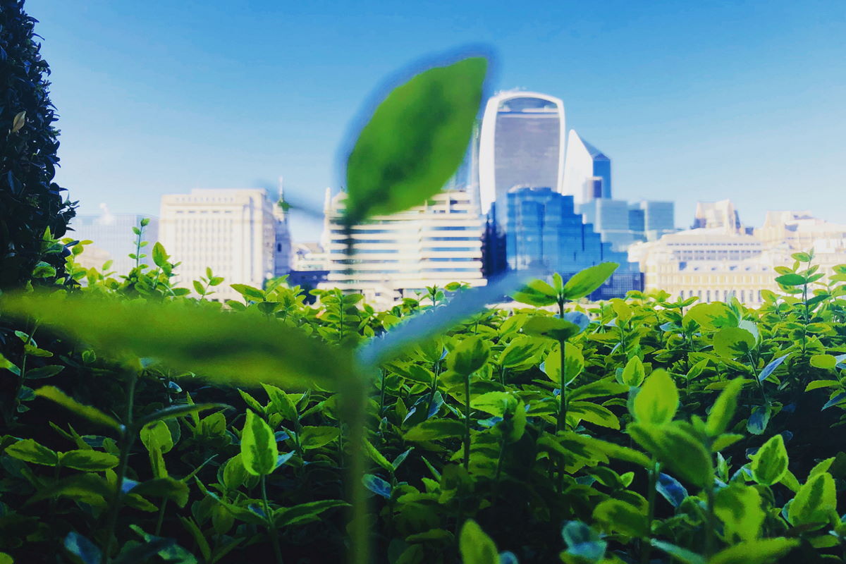 Greener futures: five considerations when building better business-March 2021