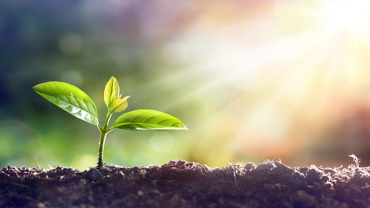 Five ways to kickstart a green recovery-July 2020