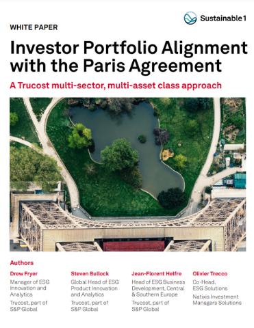 Investor Portfolio Alignment with the Paris Agreement