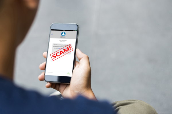 Fraud is the new black