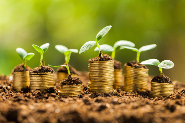 What future CFOs should know about green bonds