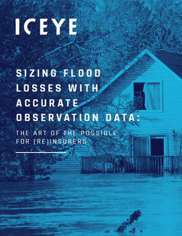 Estimating flood losses with accurate observation data