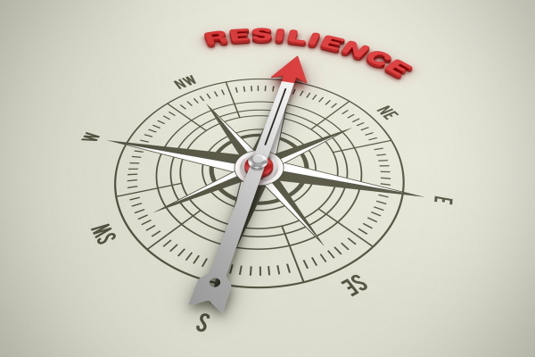 Business leaders must become guardians of resilience