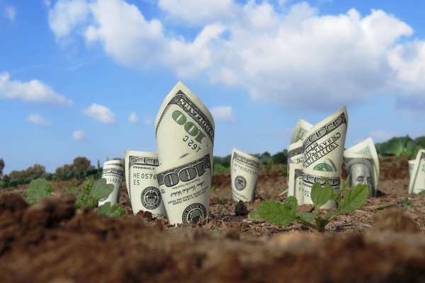 Putting a dollar value on nature will give governments and businesses more reasons to protect it