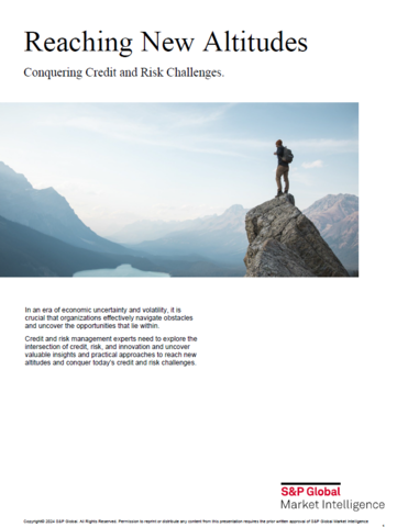 Reaching New Altitudes: Conquering Credit and Risk Challenges