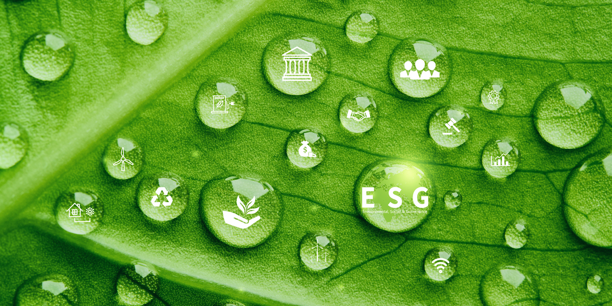 A twisty ride for European Union’s ESG laws