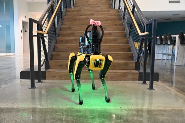 Is that a robot dog in the lobby? To drive innovation, look inward first