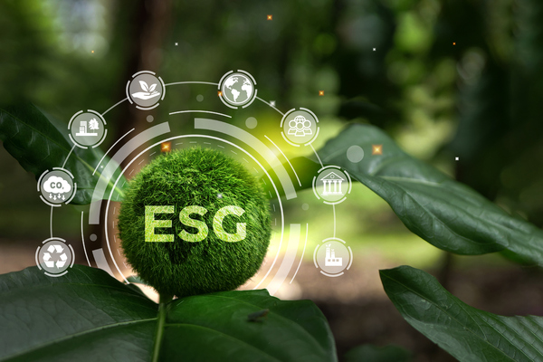 Optimising ESG rankings with Scope 3 reporting