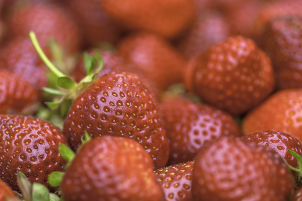 OpenAI’s Strawberry program is reportedly capable of reasoning. It might be able to deceive humans