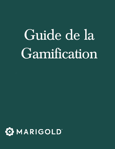 Guide de la Gamification