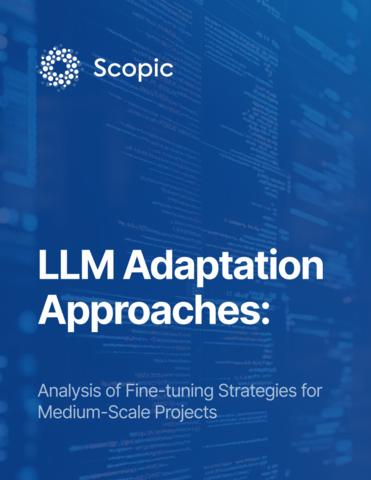 LLM Adaptation: Fine-tuning as a strategy for medium scale projects