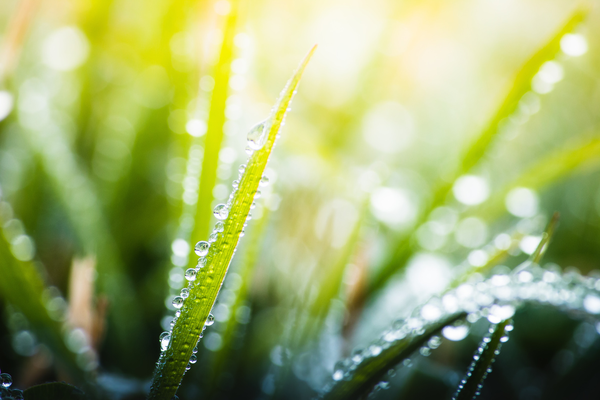 How will the sustainability of the EU’s omnibus transform your CSRD journey?