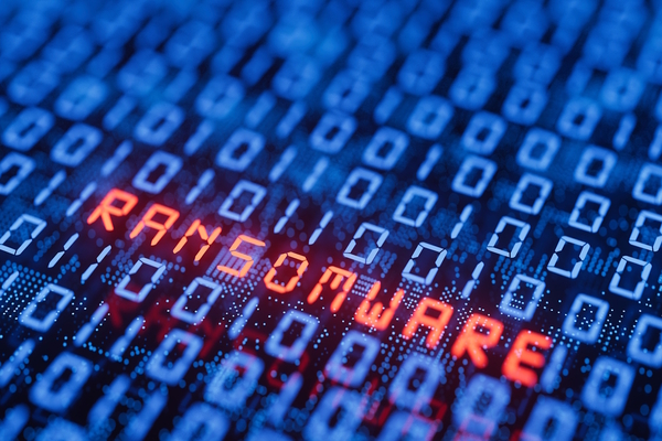 Ransomware: the first critical actions to take