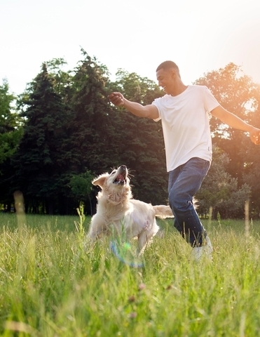 Joint Health Support for Aging Pets