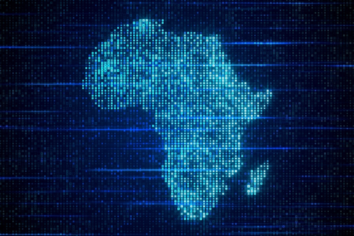 Africa’s economic rise