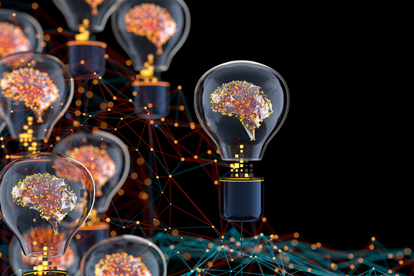 Transforming the Public Sector: Insights on AI and Digital Innovation