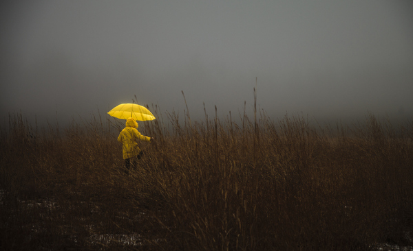 Insurance: the quieter enabler of the everyday