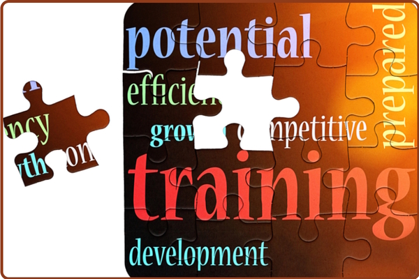 Focussing on skills gaps