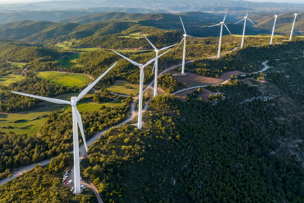 From ambition to accountability: How corporate decarbonisation is changing