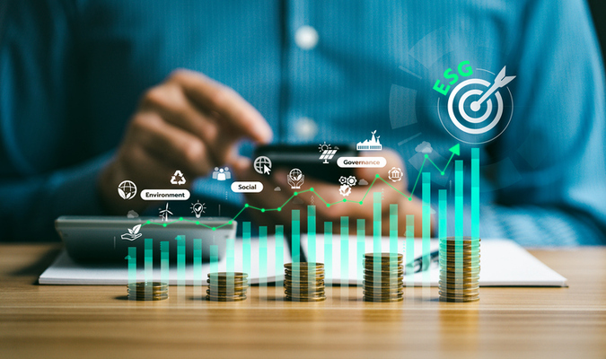 The Expert View: Using ESG as a business opportunity