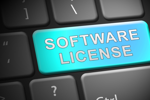 Understanding the extent of enterprise software