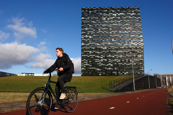 Dutch court orders Nexperia investigation, upholds decisions including Chinese CEO suspension