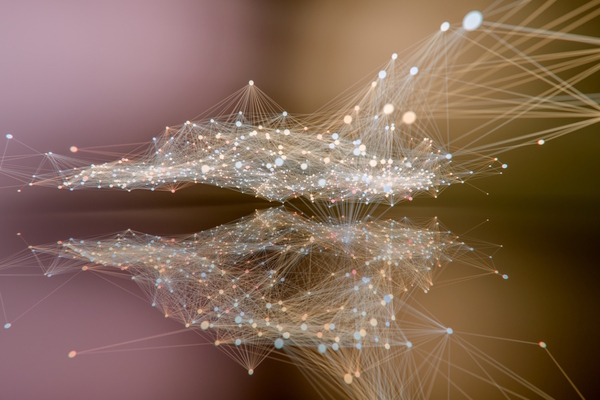 Networking: The Strategic Backbone of Business Resilience&nbsp;