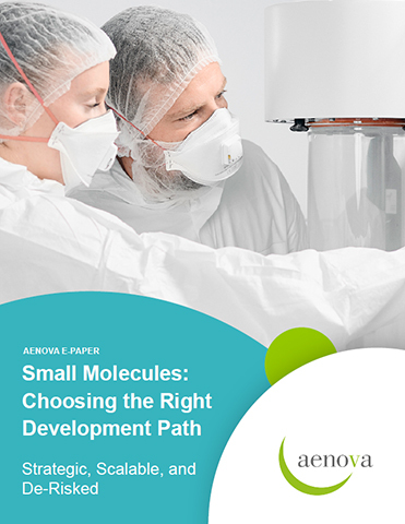 Confidently Choosing the Right Development Path