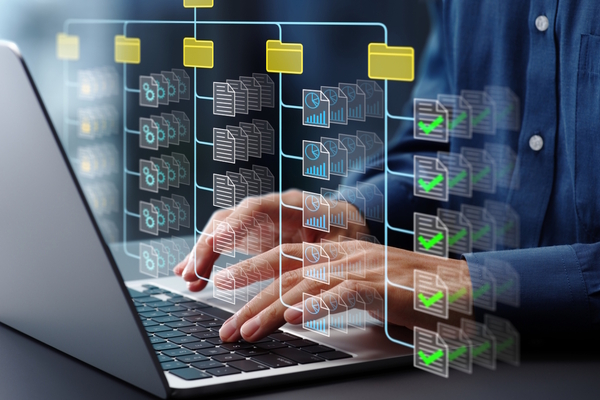 History: the real value of data for AI