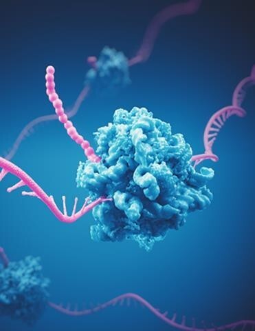 LC/MS Oligonucleotide Analysis with Altura HPH-C18