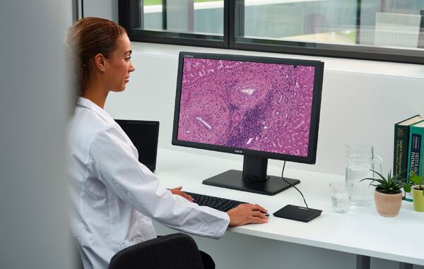 Why display choice is crucial for confidence in digital pathology