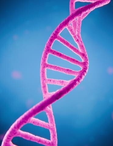 Eliminate Metal Ion Interference in Oligo LC/MS