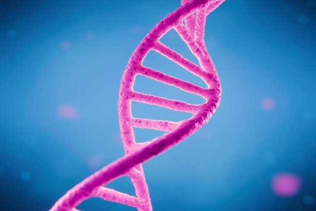 Picture 3 oligo header